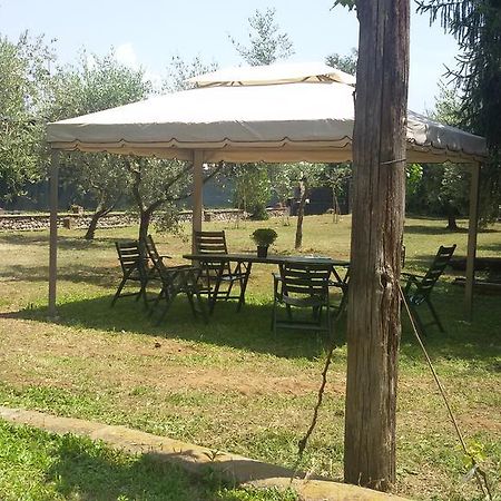 Bed and Breakfast Piccola Volpe Веллетри Экстерьер фото