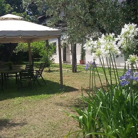Bed and Breakfast Piccola Volpe Веллетри Экстерьер фото