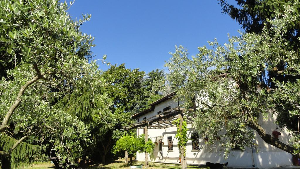 Bed and Breakfast Piccola Volpe Веллетри Экстерьер фото