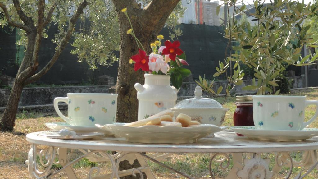 Bed and Breakfast Piccola Volpe Веллетри Экстерьер фото